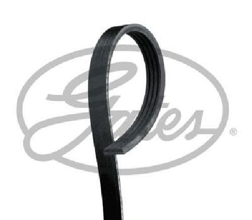 Genuine gates belt - gates, 4pk1155