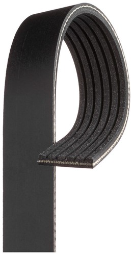 For gates 6pk1208 ribbed - for,
