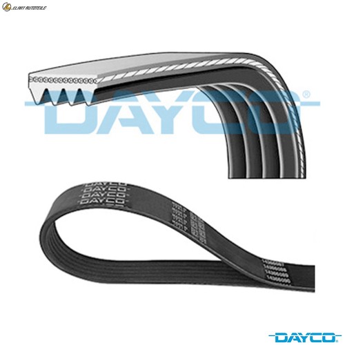 Ribbed belt 4pk1170 - v-ribbed,