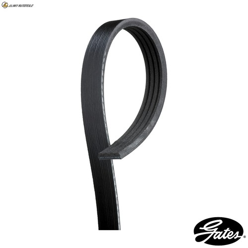 Ribbed belt 4pk1195 for - v-ribbed,